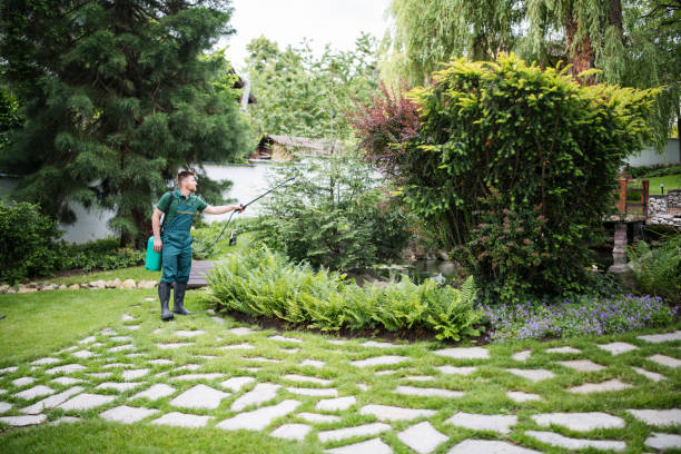 Best Soil Testing and Treatment  in Battle Ground, WA