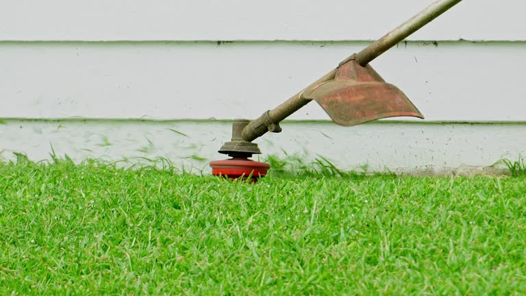Best Tree Disease Treatment  in Battle Ground, WA
